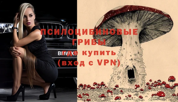 дмт Нязепетровск