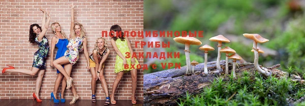 шишки Новокубанск