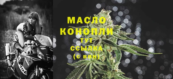 шишки Новокубанск