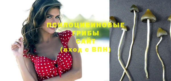 дмт Нязепетровск