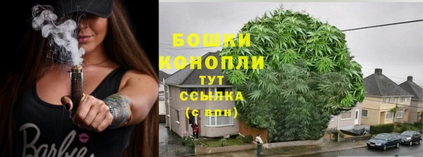 шишки Новокубанск