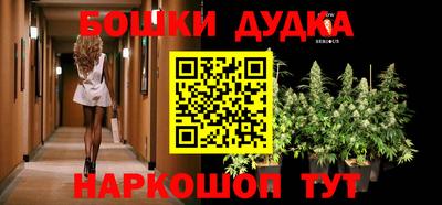 прущие грибы Апшеронск