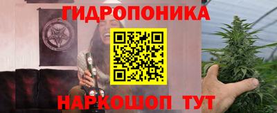 прущие грибы Апшеронск