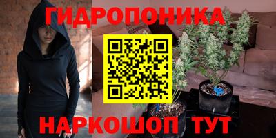 мдпв Заводоуковск