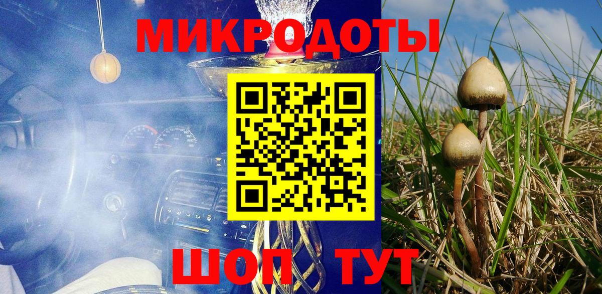 Галлюциногенные грибы мухоморы Лысьва